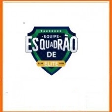 INSS – Esquadrão de Elite Curso Completo  2025